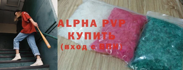 молекула духа Богданович