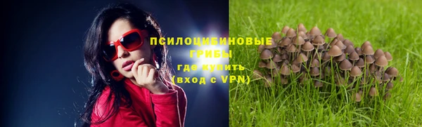 МДПВ Бородино