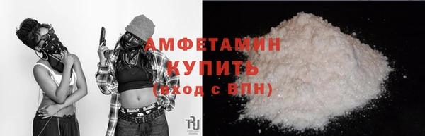 молекула духа Богданович