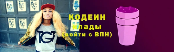 МДПВ Бородино