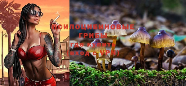 молекула духа Богданович