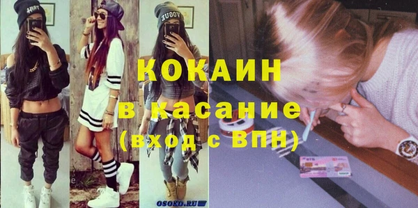 молекула духа Богданович