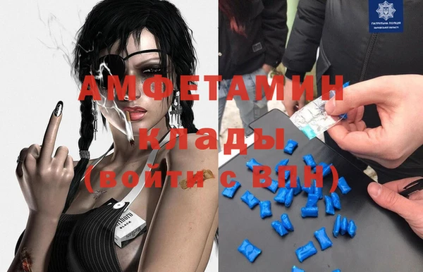 молекула духа Богданович