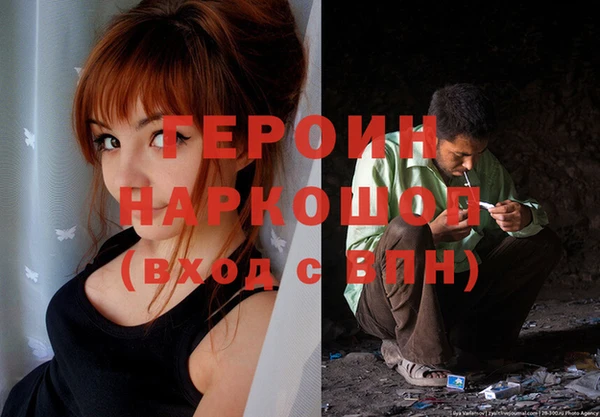 молекула духа Богданович