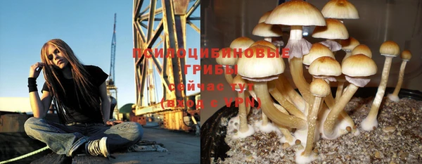 круглые Богородск