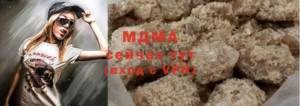 молекула духа Богданович