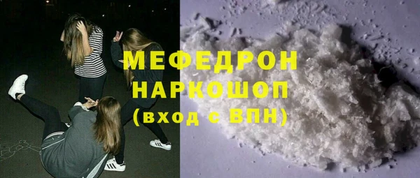 молекула духа Богданович