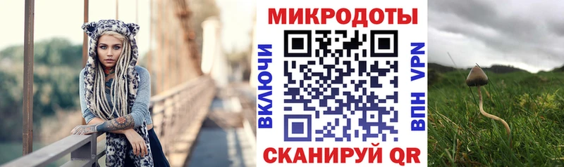 Купить где Багратионовск Галлюциногенные грибы ЛСД